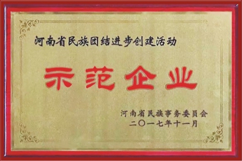 河南省民族团结进步创建活动示范企业