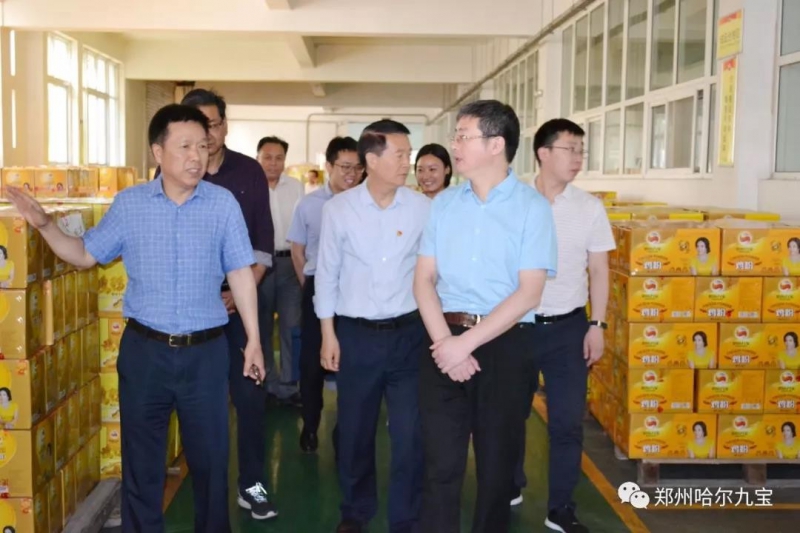 中央统战部领导赴云顶集团工厂检查指导工作！